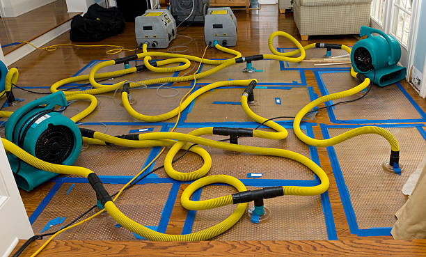 Professional Water Extraction technician working in Jewell, IA